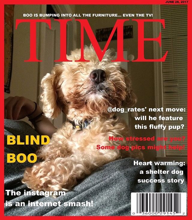 Bootheblind's tweet photo. Throwback to that time when Time approached me for a photo shoot https://t.co/f3AVLYyveY