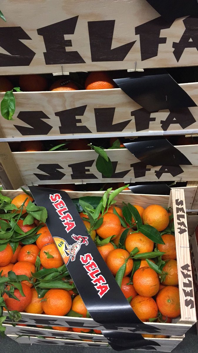 LeonsFruitShop's tweet photo. Simply the best clementines in stock for you #selfa #leonsfruitshop #goldersgreen #hampstead #hendon #HampsteadVillage https://t.co/tVkxVxoQtS