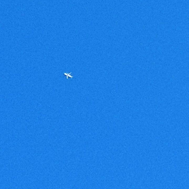 _KELOT_'s tweet photo. Instagram更新! ⇒ https://t.co/iAIZavgESG どのくらい澄んでいるかというと
スマホで飛行機が撮れるくらい
こんな日は紅葉🍁も
色鮮やかになりますね〜
#イマソラ #飛行機 #ミッキーブルー #mickyblue #青空 #tokyo #東京 #東京散歩 https://t.co/nzphRxstEu