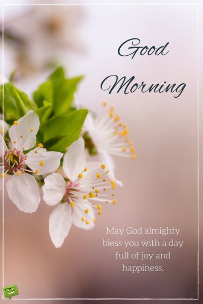 TravelAlka's tweet photo. Good Morning Everyone... https://t.co/it6vFHhZh3