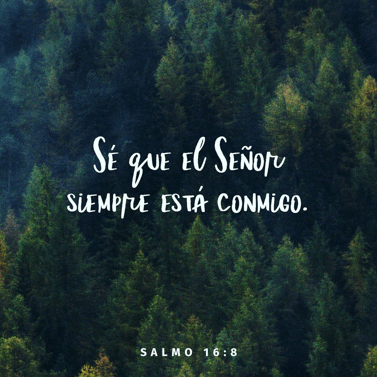 MSHO_MUSIC's tweet photo. 👆👆🙌 #salmos #Señor #MSHO #God https://t.co/ZjMkkb5jhm
