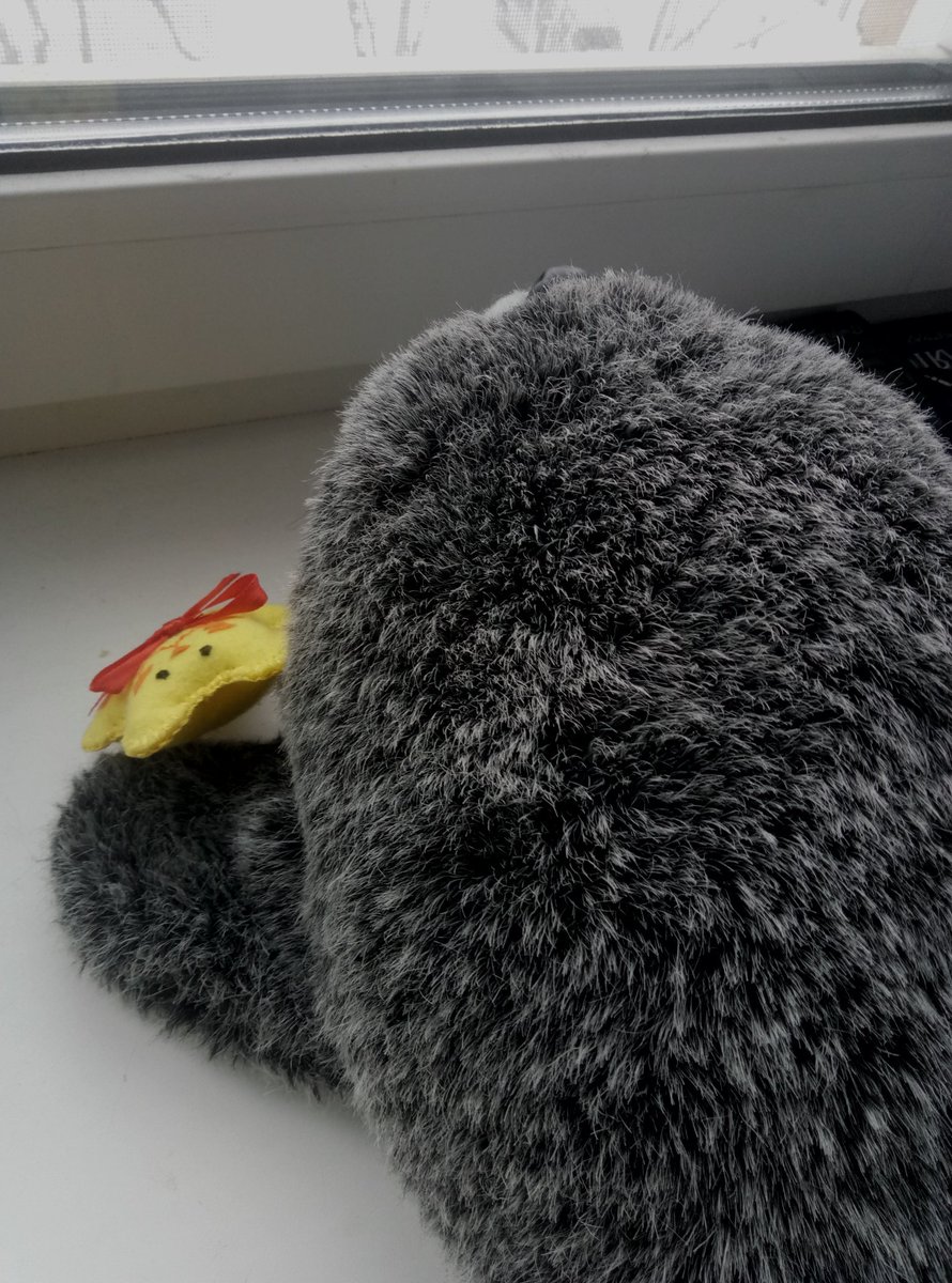deformatorsam's tweet photo. Редкое фото: Генадий и Ты смотрят в окно https://t.co/juH29r1FaG