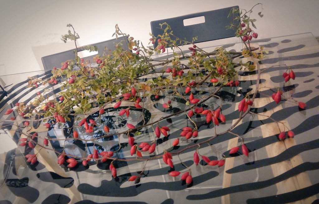 LeSibille's tweet photo. Workinprogress↕#LESIBILLE Atelier.....rosehip berries🌹🌹 and digitalprint👍 ...staytuned only5days countdown🎯....#mosaictodress👗#mosaiconfinger💍#rosehips #berries #only5days🕖 https://t.co/x6DaseOijJ