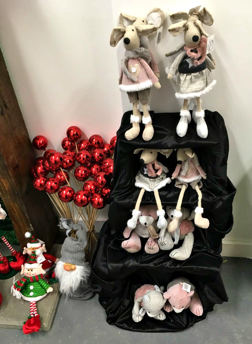 On behalf of all at The Green Kitchen - we're thrilled to invite you to our new garden shop. We open our doors next Mon 27th! We're at Walkinstown Green opposite @tonykealys #excitingtimes