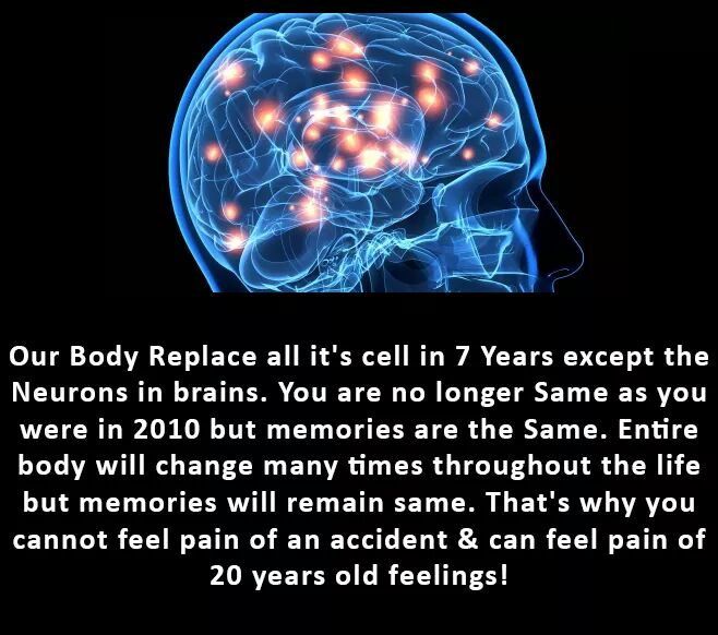 schoolbiology's tweet photo. Feelings remain the same with the passage of time. So, whatever we think and do let it be glory to our good feelings. 😊 

👆👆👆By @schoolbiology 

➡➡➡
#emotions #motivationalquotes #inspirationalquotes #feelgood #time #education #motivator https://t.co/sYX6lwR1AH