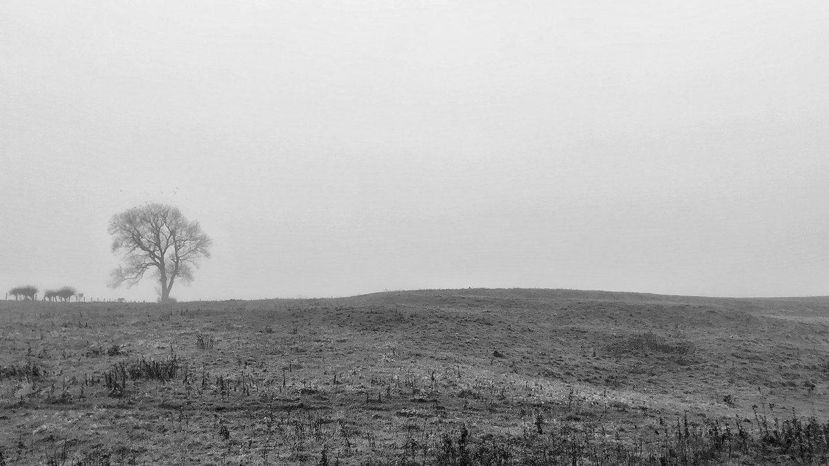 alan_fentiman's tweet photo. Early start in frost this morning but delighted to be filming @NorthernPrint today as part of @OuseburnOpen #artists #printmaking #ouseburn #filmmaking #artistfilms https://t.co/1h5IuoswdI