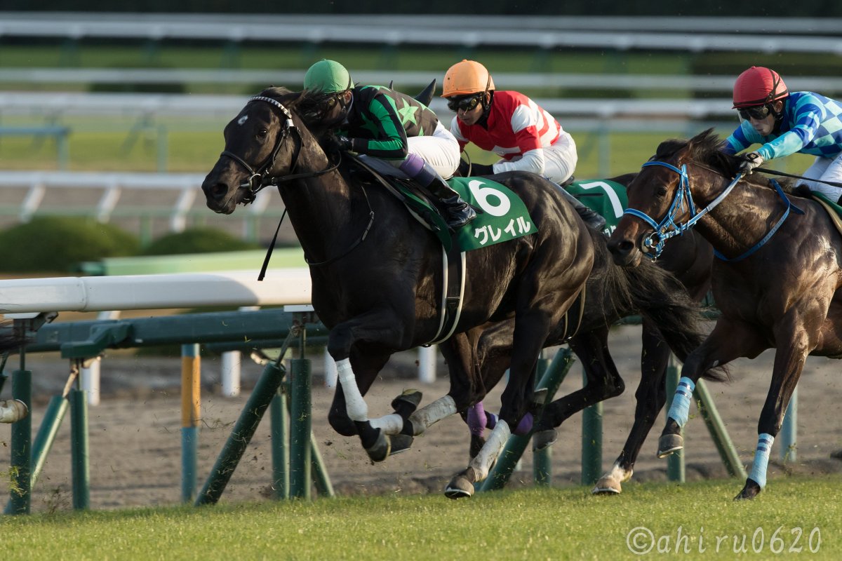 京都2歳ステークス hashtag on Twitter 京都2歳ステークス hashtag on Twitter