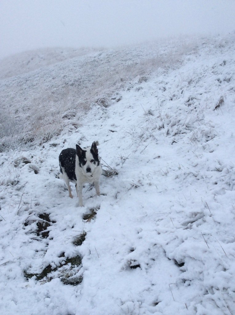 Pause A Second tweet media