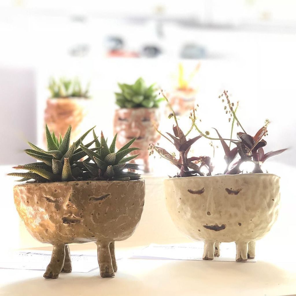 wasawarabi's tweet photo. Good morning sunshine ☺️Planters by @yowiejen
.
.
.
#ceramicdesignstudio #MuseExhibition #cacExhibition #handmadeceramics #australianceramics https://t.co/61372WmrjB https://t.co/puD1BZLEj1