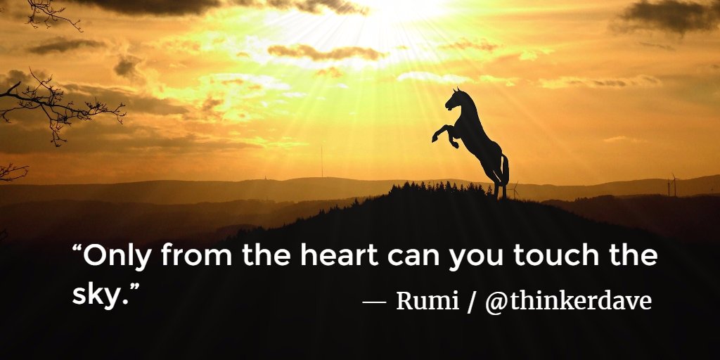 KevinMichael999's tweet photo. Only from the heart can you touch the sky. — Rumi

#Rumi #quote #love https://t.co/yQ3tRZSAzR