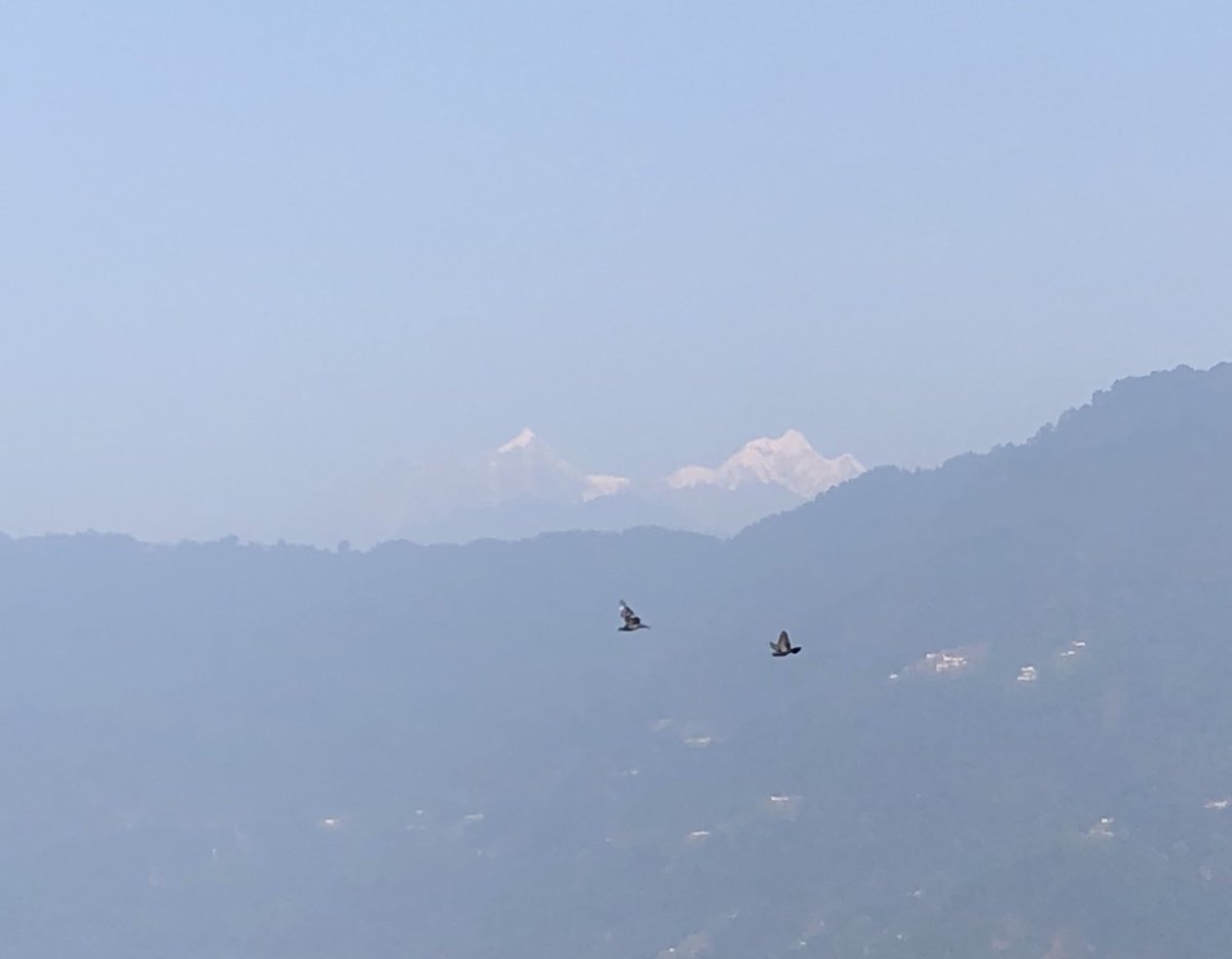 GurudevDr's tweet photo. In Sikkim no honking no illegal parking no screaming, if it can happen here why not in rest of the country. https://t.co/p2etIimmHl