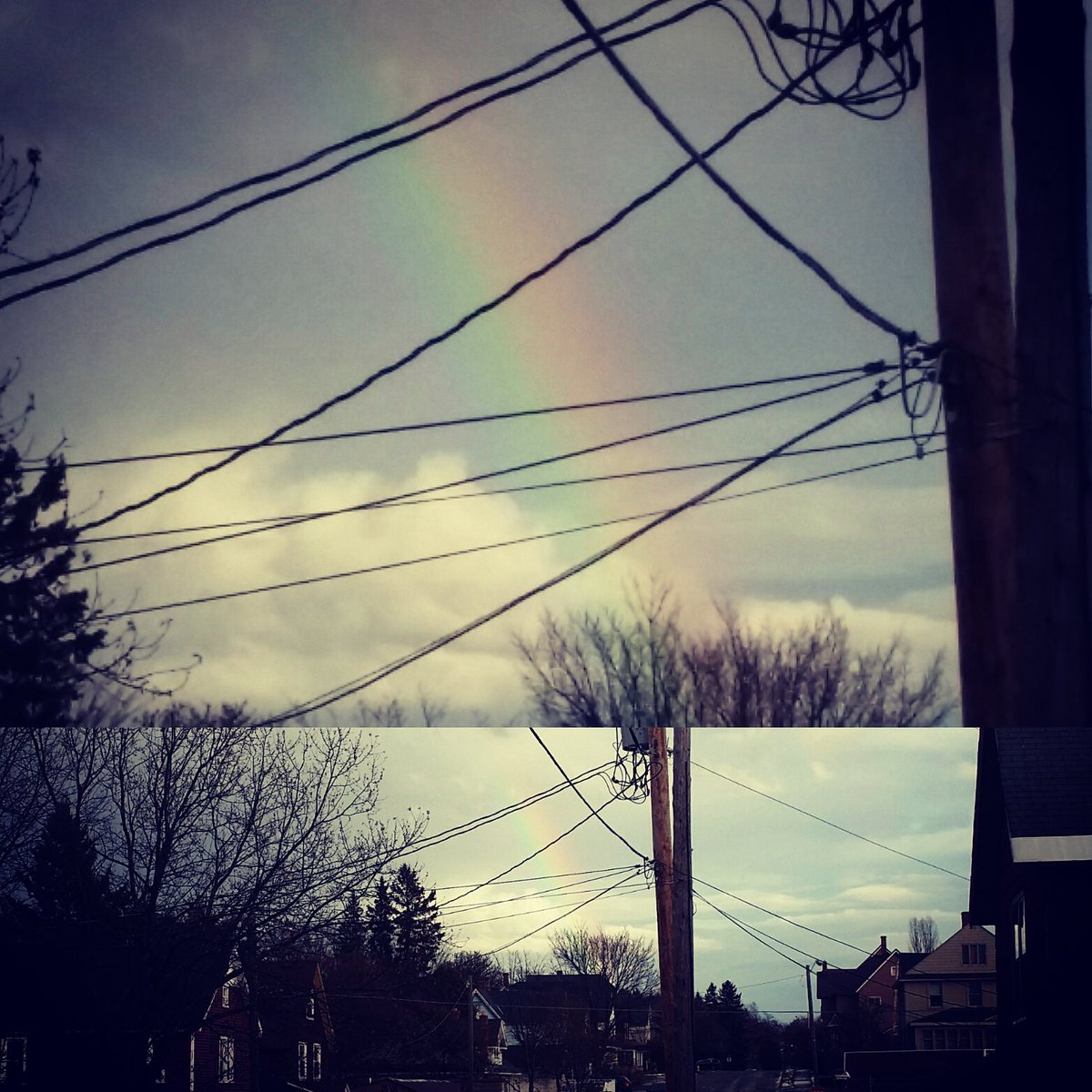 RoidlJosh's tweet photo. #NovemberRainbow🌈 https://t.co/YMdcJaXisO