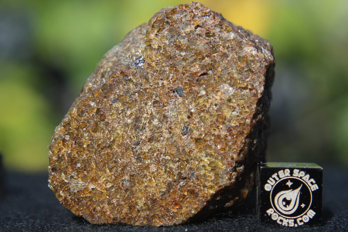 OuterSpaceRocks's tweet photo. #TopSecret Something very special is coming, a brand new member of a tremendously loved meteorite class. All thanks to a new discovery in North West Africa! #OuterSpaceRocks #Meteorite The new discoveries just keep on coming! I am dedicated to making contributions to meteoritics! https://t.co/Xwv2Ne16U2