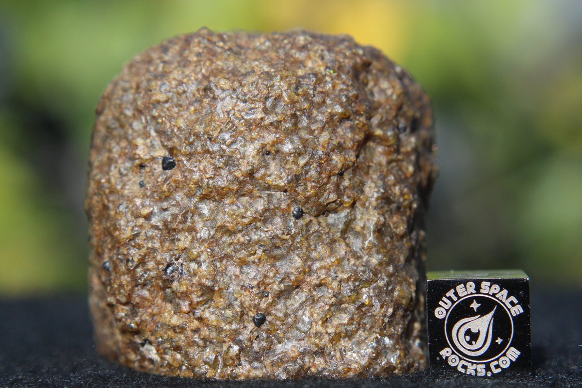 OuterSpaceRocks's tweet photo. #TopSecret Something very special is coming, a brand new member of a tremendously loved meteorite class. All thanks to a new discovery in North West Africa! #OuterSpaceRocks #Meteorite The new discoveries just keep on coming! I am dedicated to making contributions to meteoritics! https://t.co/Xwv2Ne16U2