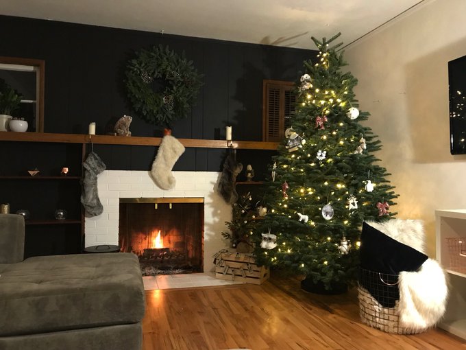 I haven&rsquo;t been waiting for this all year or anything... https://t.co/8xivBwxW4o