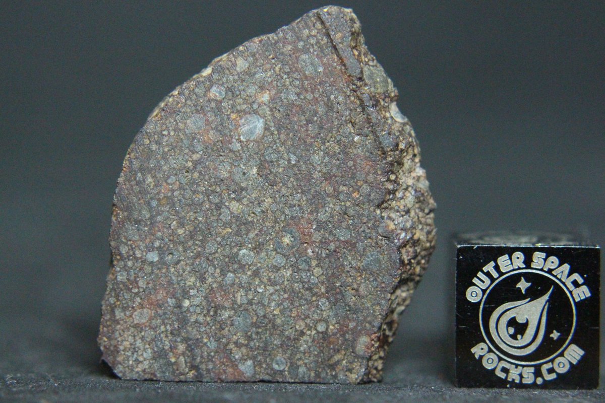 OuterSpaceRocks's tweet photo. #NWA10499 LL3 Primitive Meteorite Loaded with #Chondrules Billions of years old. Preserved from the formation of our solar system. This meteorite is a snapshot in time from when the planets were forming. A wonderful example of a type 3 #Meteorite #OuterSpaceRocks https://t.co/P4b6IetkSj