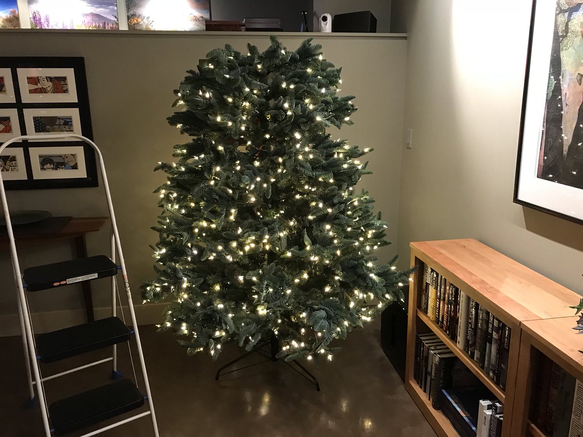 plantblogger's tweet photo. i think.. there has been a mistake https://t.co/vY718ppGQi