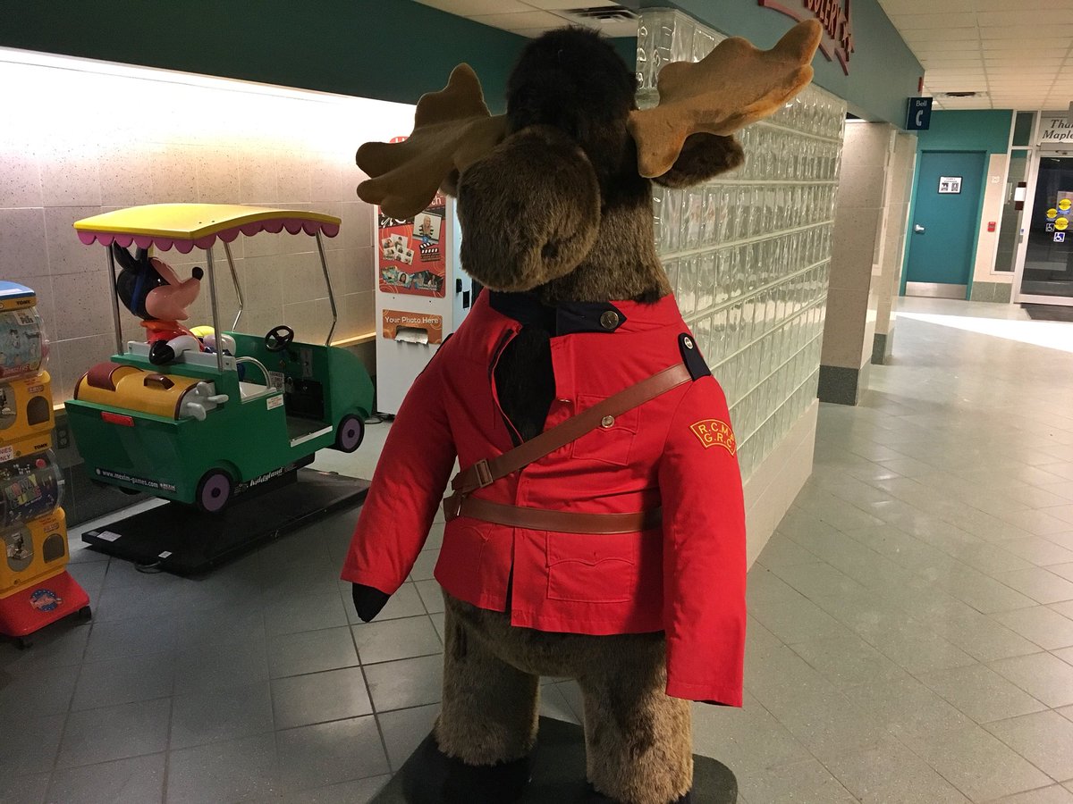 JeremyCohnTV's tweet photo. It appears the #MarkhamMoose has been spotted inside the Highway 400 OnRoute center and has taken up residency as an RCMP officer. https://t.co/n0PP89GIRG