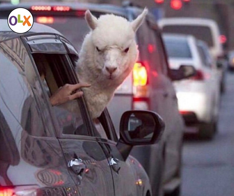 Jiji__Kenya's tweet photo. How your ex will be checking out your new car. Book a champ hapa https://t.co/J1Ifqq8XEn #EverythingSells https://t.co/u3kVdlrGHR