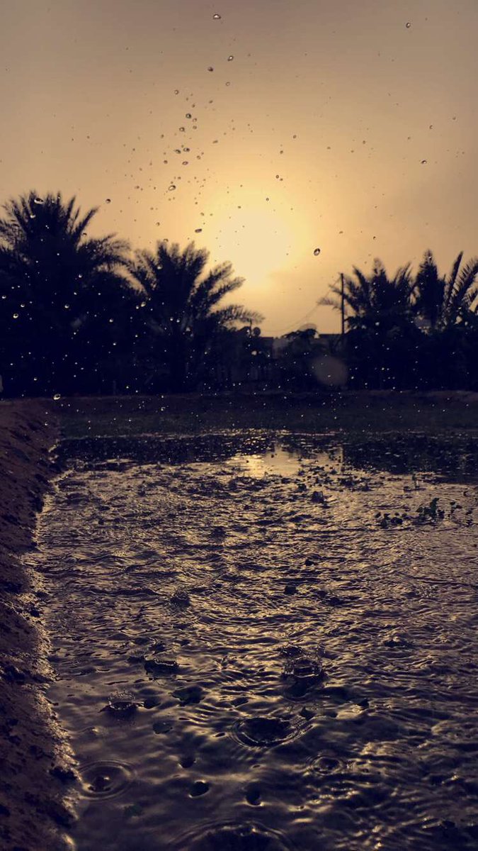 #تصويري 
#Egypt 
#مصور 
#سناب 
 #الشعور_هاليله