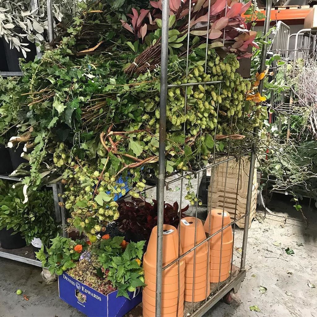 #winterfoilage #newcoventgardenflowermarket #porters #flowermarket ift.tt/2zBFeS5