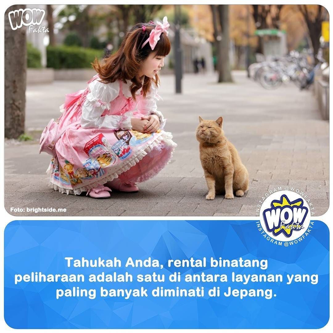 kontenwow's tweet photo. https://t.co/X8prEoOMtY Popularitasnya dapat dengan mudah dijelaskan, kebanyakan ukuran apartemen disana cukup keci… https://t.co/fHROV7yHYv