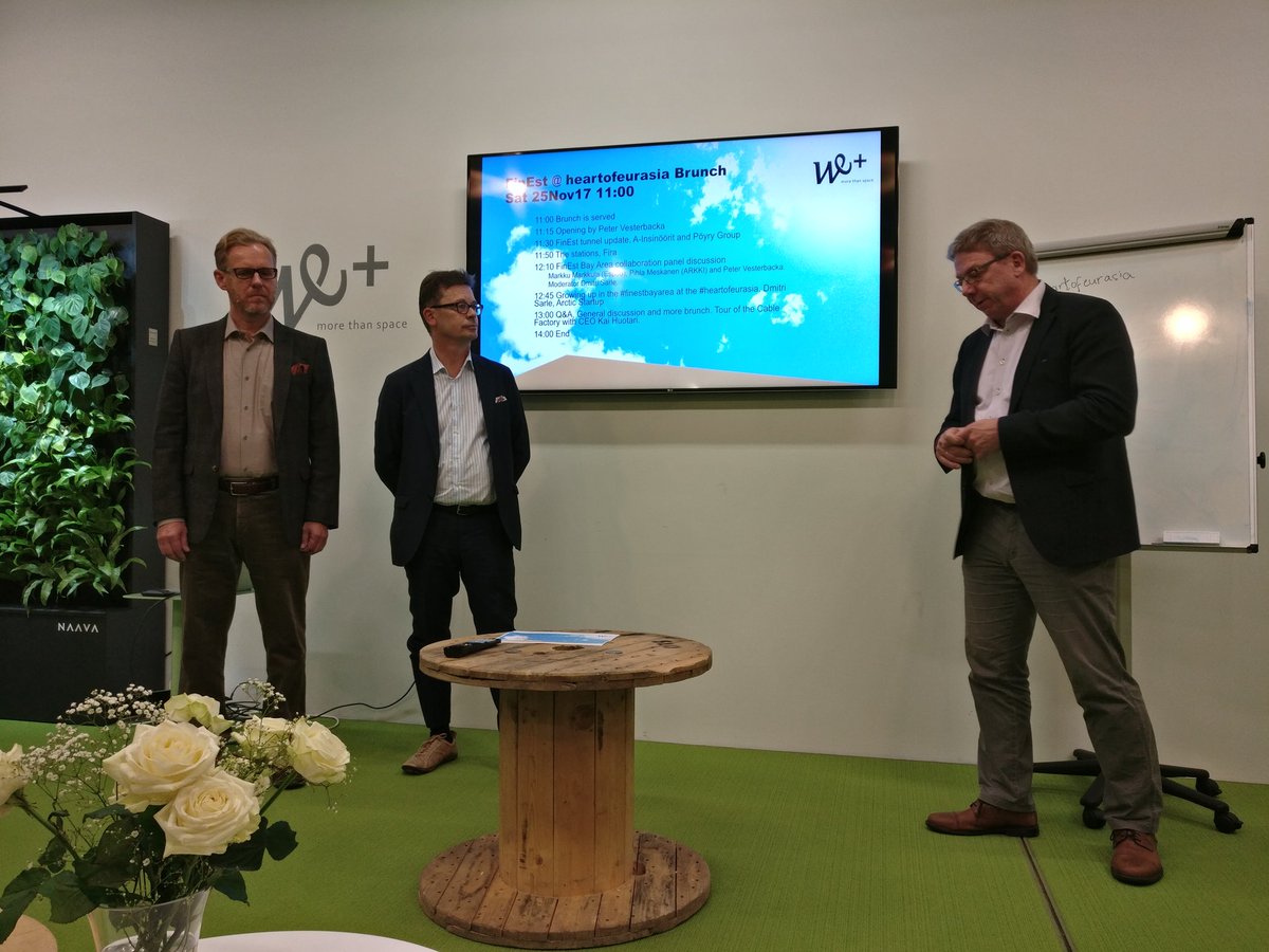 pvesterbacka's tweet photo. The Helsinki Tallinn tunnel is just a new metro line connecting two neighborhoods in the #FinEstBayArea metropolitan area according to Poyry https://t.co/Dhi55ateqc