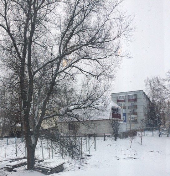 rus_tungus's tweet photo. ❄ https://t.co/SwVuedzPFm