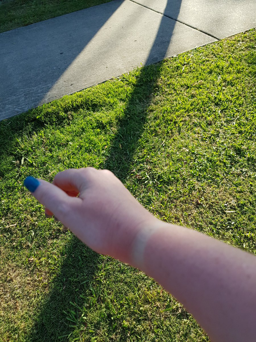 misskylie77's tweet image. This is fine #electionlife #qldvotes