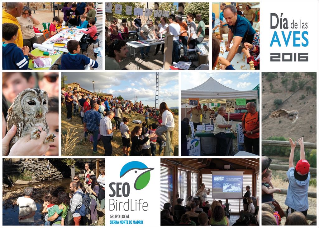 AsunSEO's tweet photo. Hoy día importante! 
Reunión anual de Grupos Locales de @SEO_BirdLife.
Los conocéis? 
Son nuestros ojos y brazos armados en el territorio.
No paran!
Y están en todas partes...
Mirad aquí!
https://t.co/EPsC0ttMTN
GRACIAS por tanto! https://t.co/tnl3LVaA07