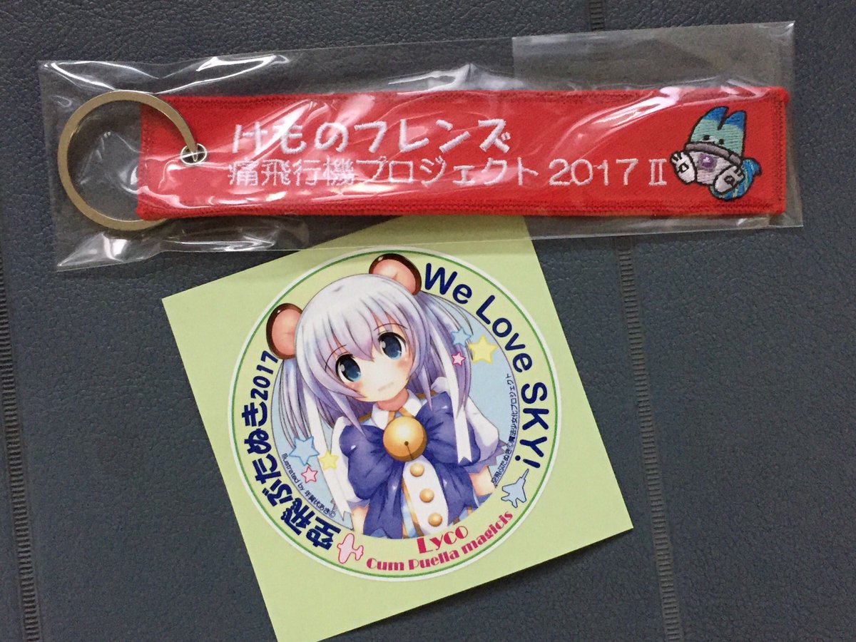 後編 けものフレンズ痛飛行機プロジェクト けもフレ痛飛行機 投稿写真まとめ Part2 13ページ目 Togetter