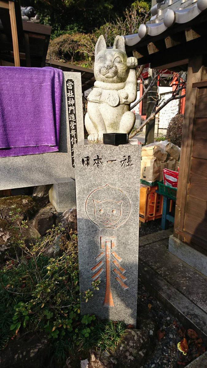 mosuke716's tweet photo. 徳島県に遊びに行っている嫁から
ビックリな報告！
お松大権現へ参拝に行ったところ
おみくじ箱に((( ；ﾟДﾟ))ｴｯ!?

猫200円 https://t.co/FehUWfr8ma