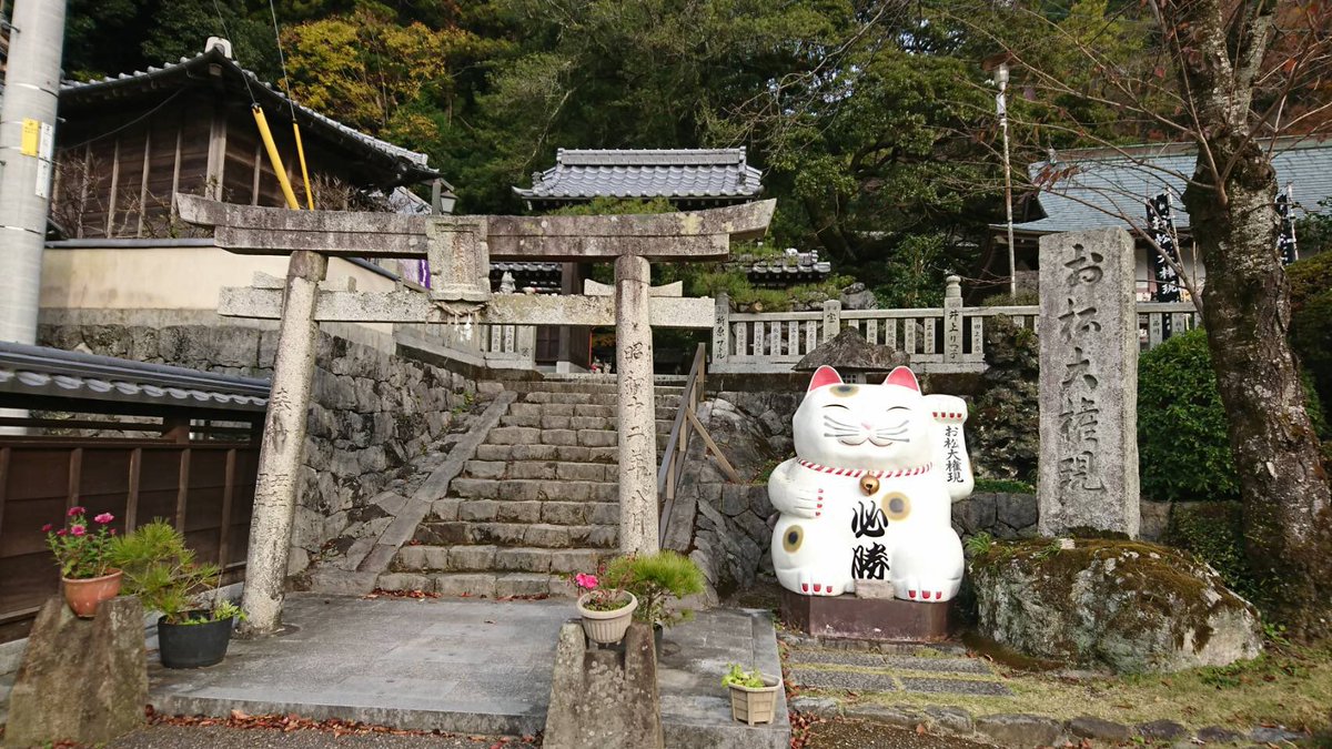 mosuke716's tweet photo. 徳島県に遊びに行っている嫁から
ビックリな報告！
お松大権現へ参拝に行ったところ
おみくじ箱に((( ；ﾟДﾟ))ｴｯ!?

猫200円 https://t.co/FehUWfr8ma