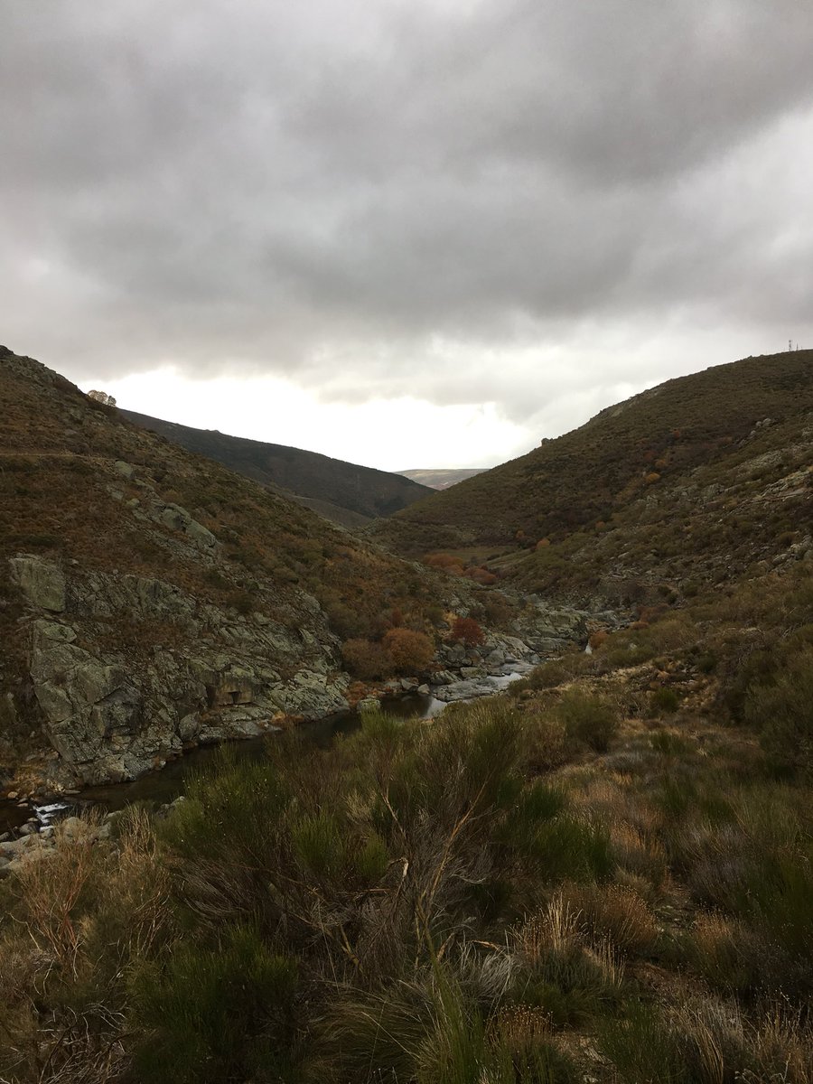 Moncho60Moncho's tweet photo. Ayer, un buen dia de montaña, con mi gran amigo y primo, algo pasado por agua, pero disfrutamos de la naturaleza que era lo intentamos. https://t.co/JXNOXnjDE6