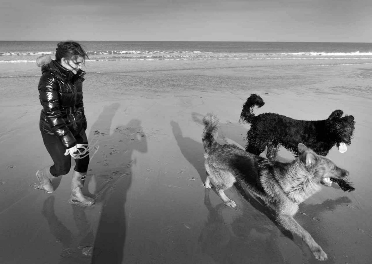 Yse_EducCanin's tweet photo. Free dog = happy dog !
#dog #dogs #happydogs #doglove #dogtraining #dogtrainer #educateurcanin #educationpositive #educationcanine #pet #dogplay #dogplaying #obedience #ilovemydog #doglife #chien #walk #nature #feelinggood #beach 
(merci à Emmanuel Bosteels pour les photos) https://t.co/NkxhtkbWz5