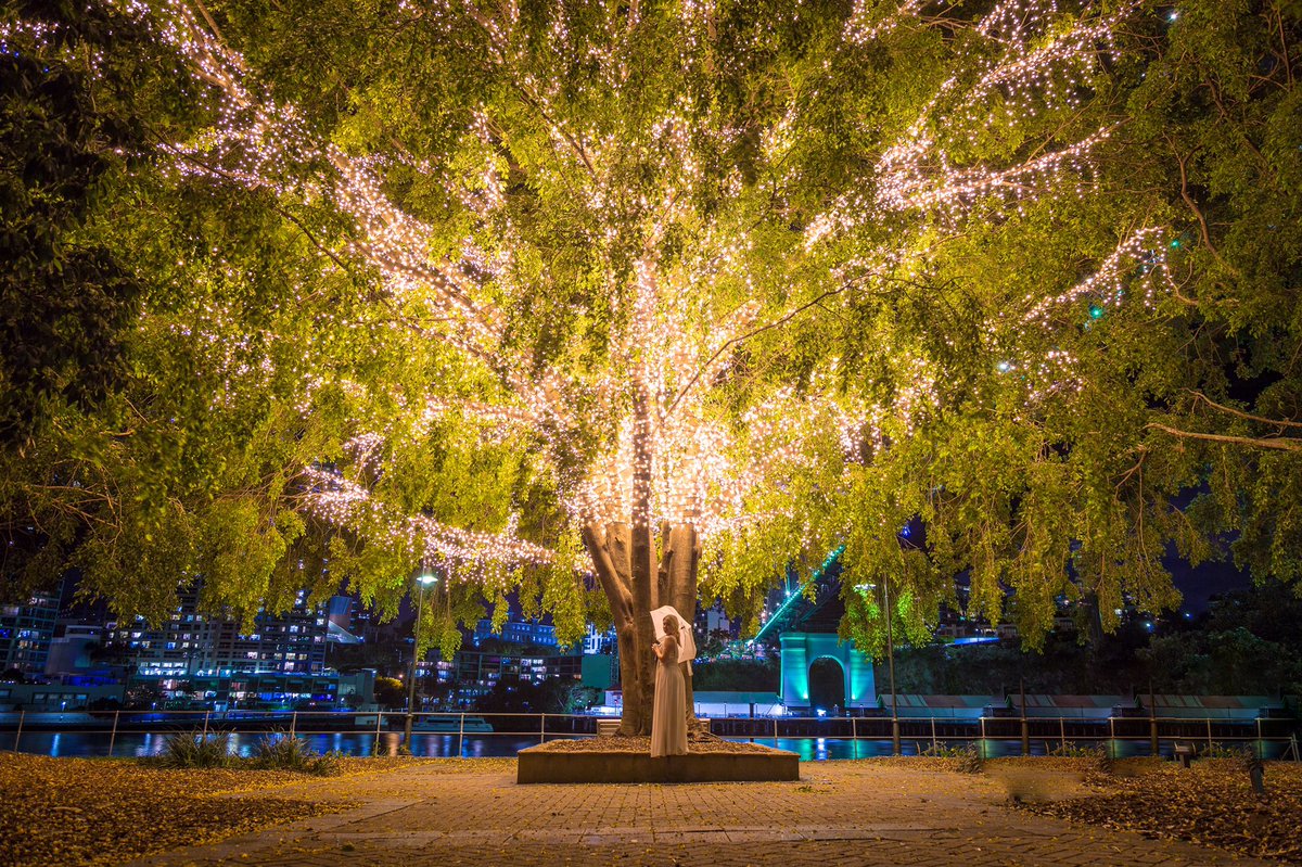 kcscamera's tweet photo. Under a million fairy lights✨✨✨ in @visitbrisbane @ChoiceHotels @Queensland @Australia https://t.co/xpwqpEnoIX