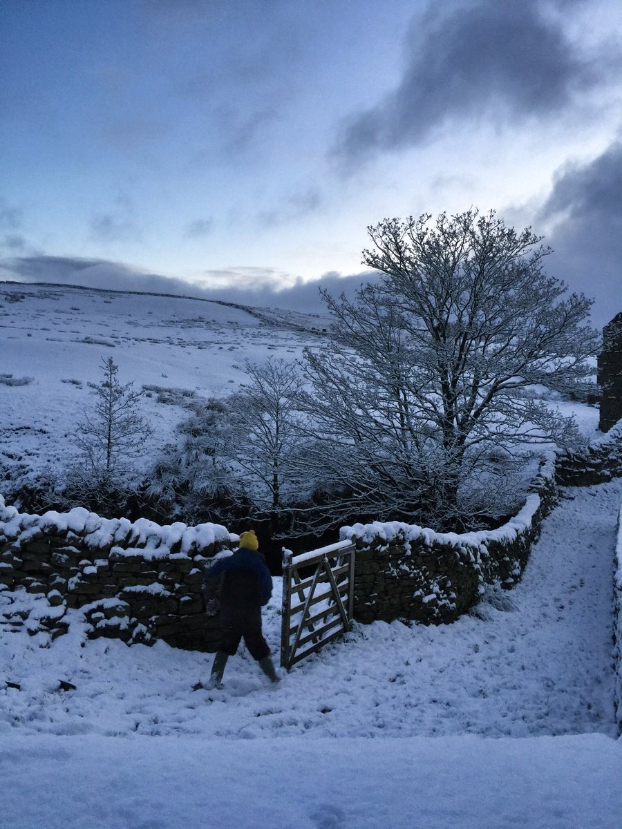 AmandaOwen8's tweet photo. ❄️An icy cold morning in Swaledale❄️
#snow https://t.co/ig3uAheywa