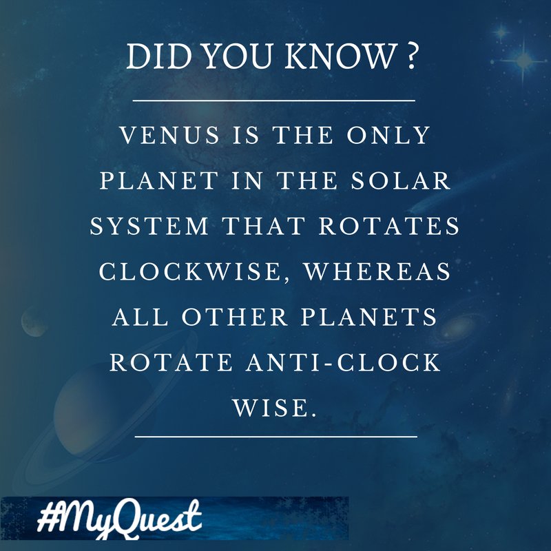 My-Quest tweet media