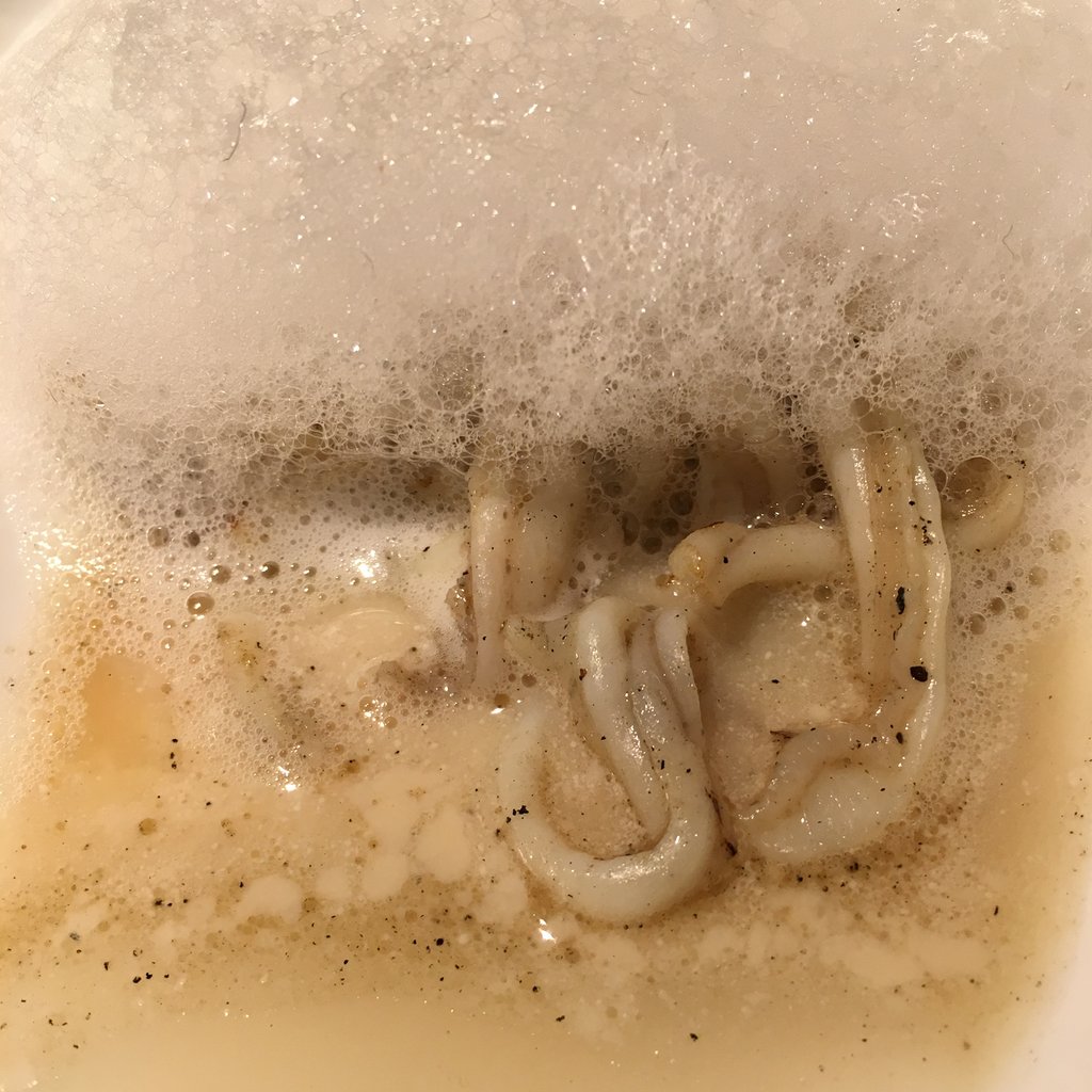 ¡Atención a este #plato! Nuestro #gastrodiccionario está que tiembla... ¿#Espardeñas y #katsuobushi? Hemos tenido que tirar de Google y se nos ha vuelto a hacer la boca agua recordando este #manjar.

📷 | Espardeña asada, agua de calamar concentrada y aire de katsuobushi

#ABaC