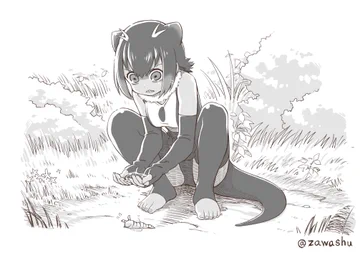 画像 / Picture