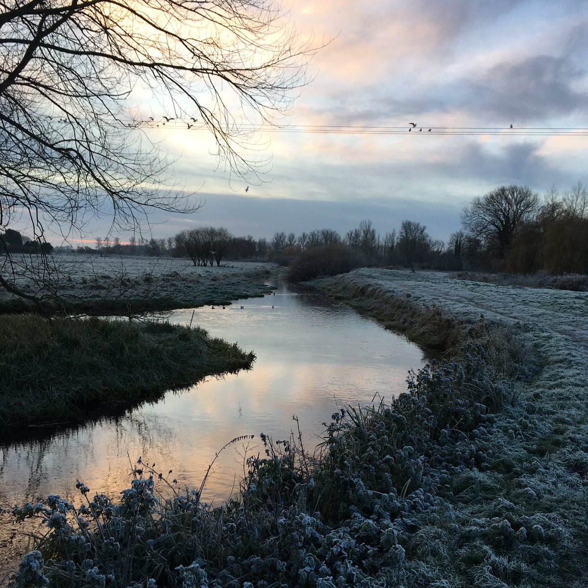 Emma Cook tweet media