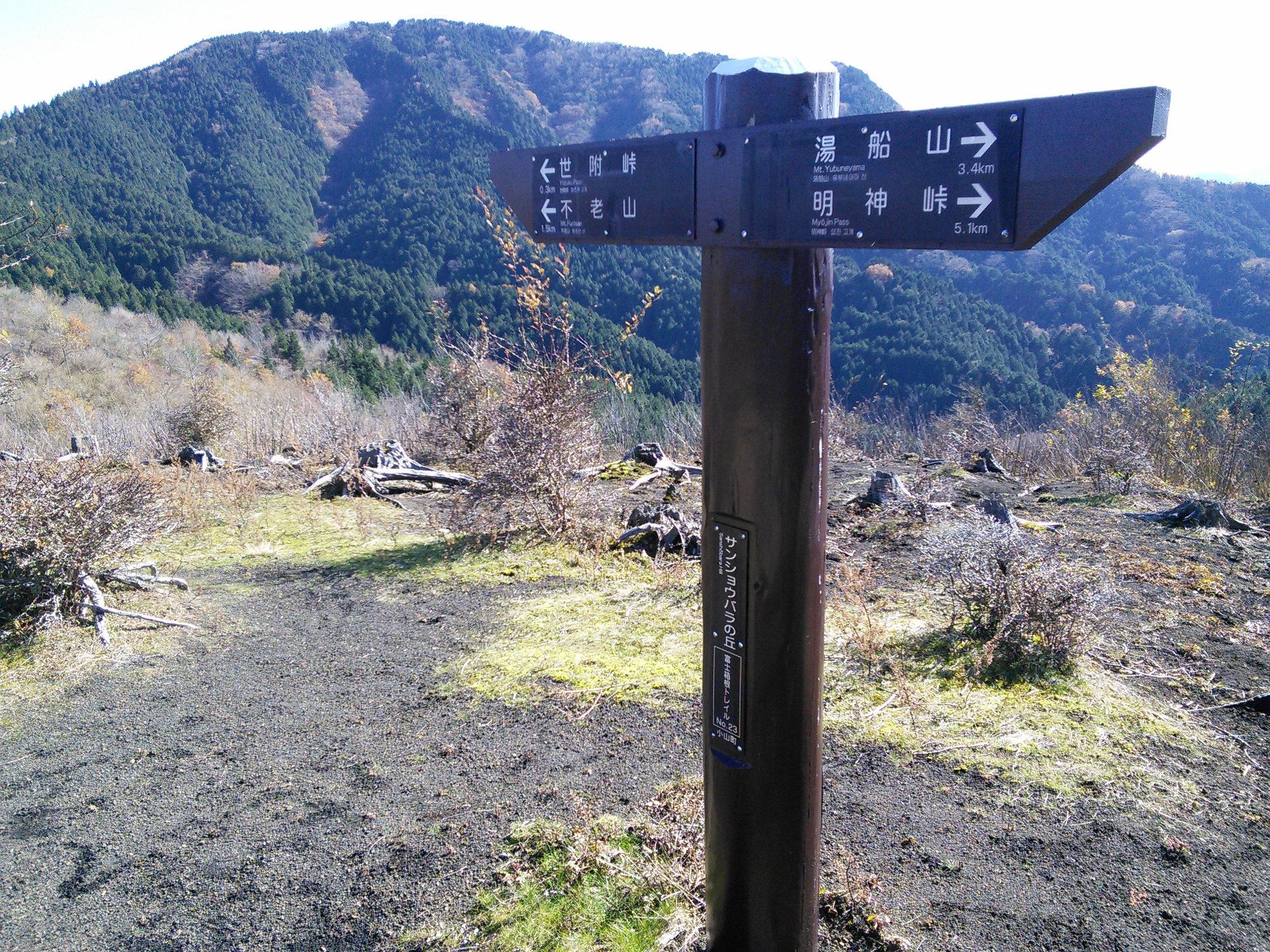 丹沢自然学校pr Auf Twitter サンショウバラの丘からは不老山 富士山 箱根の山が 大涌谷らしいところから 白い煙が上がっていました T Co D8fgu1fdmd Twitter