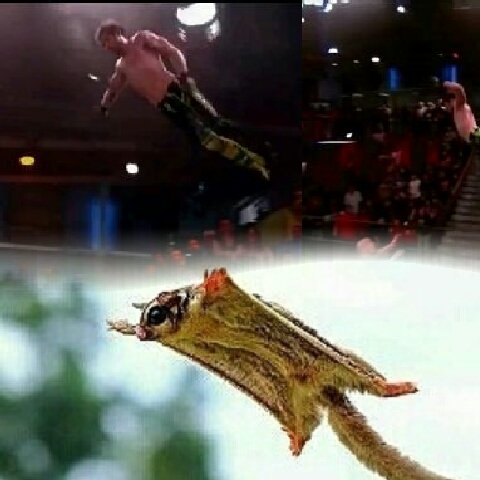 AngelicoTeam's tweet photo. Soaring 2greater heights in 18, the #UltimateAirdevil #Angelico! (Like a Human FlyingSquirrel haha!) 😜#saturdayfun #humor #AngelicoEveryday https://t.co/c2c4qJl7u0