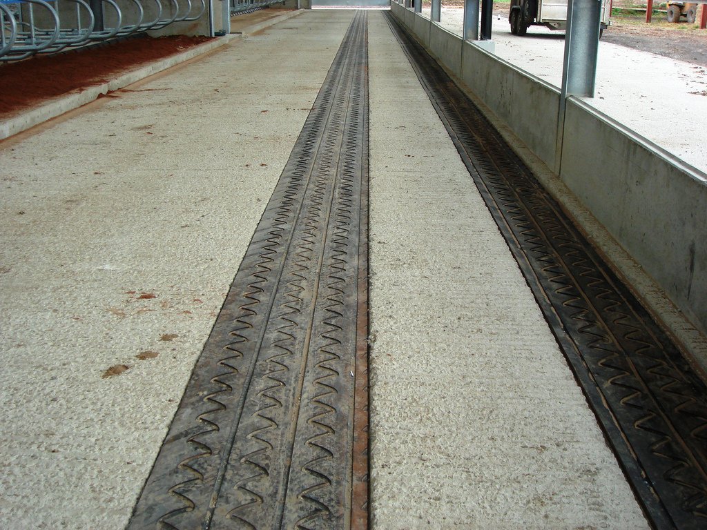 TStable's tweet photo. @Rippleview @JustinRDMV @dairycowfootdoc @CousineauAlbert @SaraPedersen3 Hello #ratemytrim team. What are your opinions on rubber in the feed alley? We are currently building and don't know whether to fit it! @kburgi2 @Davidrowe_1 https://t.co/9pKBikn3h5