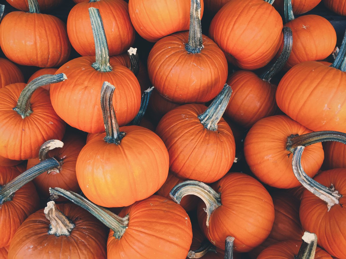 FIATCseguros's tweet photo. La calabaza es un alimento de temporada con múltiples beneficios para nuestra salud: nos aporta agua, fibra, provitamina A, potasio… Inclúyela en tu día a día con estas recetas 🍴 https://t.co/sJsieA9OZY #salud #comesano #otoño https://t.co/iB3wfIPR1i