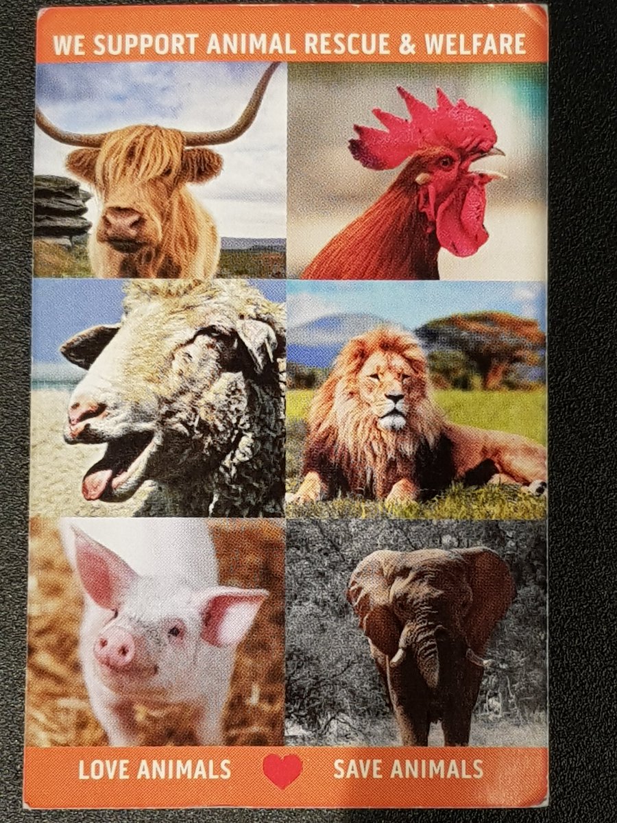 stefanotempesta's tweet image. We support animal welfare. Thanks Twaraa Solutions #xrmmetabox for raising it at #CRMSaturday #Milan