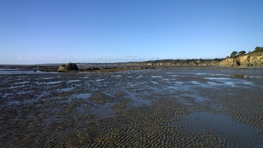 AnitaB_44's tweet photo. Seule au monde #lavieestbelle #bonheur @loireatlantique marée basse #Bernerie https://t.co/pu7FAZWBhm