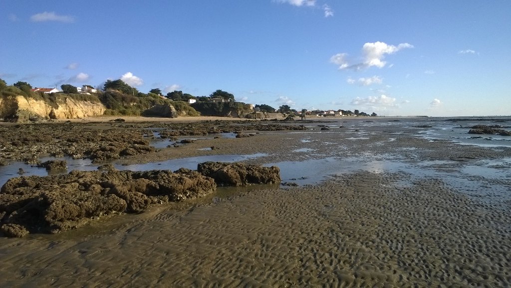 AnitaB_44's tweet photo. Seule au monde #lavieestbelle #bonheur @loireatlantique marée basse #Bernerie https://t.co/pu7FAZWBhm