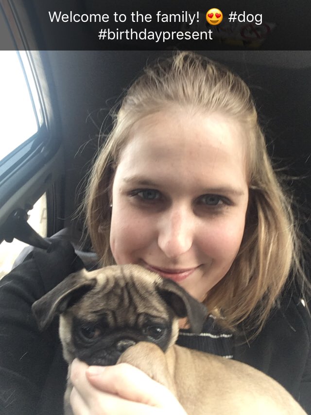 Julmaa_'s tweet photo. Best present ever! 😍 Welcome to the family Emma! #birthdaypresent #boyfriend #mops https://t.co/L4tBSc2gpH