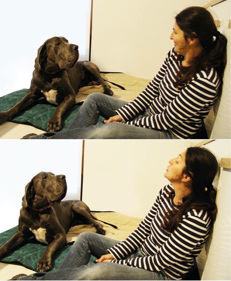WishgateOnlus's tweet photo. La nostra pet therapy è anche sintonia.
#onlus #pettherapy #didattica #sociale #aiuto #cennodintesa #alanoblu #educazione #amore #sintonia #terapia #bambini #volontariato #istruzione #affetto #arte #greatdane #disabili #disabilita #speranza #obiettivi #risultati #5x1000 https://t.co/8CSoa8MdiA